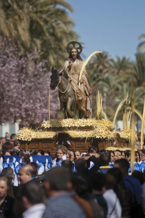 Domingo de Ramos en Elche