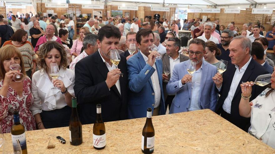 Un momento de la inauguración de la XXIV Festa do Viño de Meaño. | Noé Parga