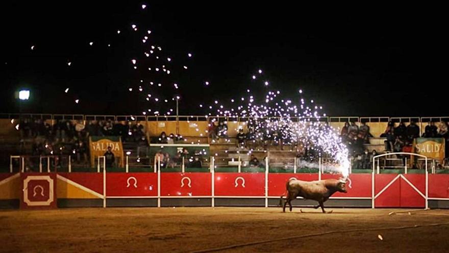 Los vecinos disfrutaron de un concierto entre los pinos del merendero municipal. | SERVICIO ESPECIAL