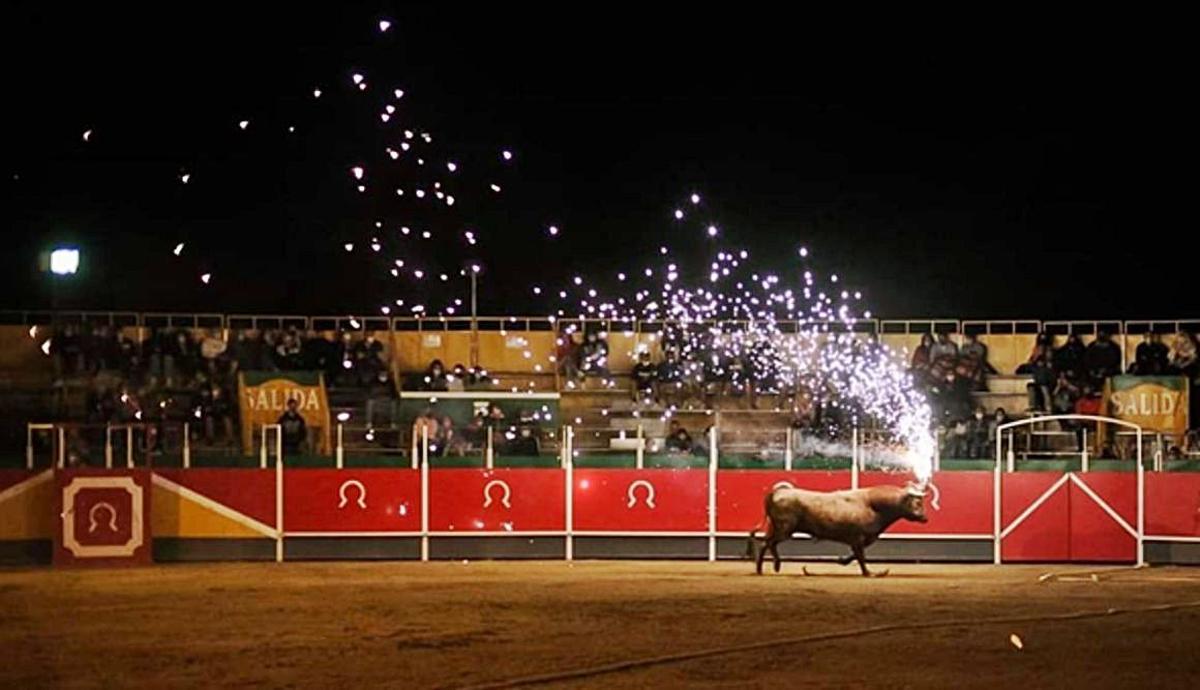Los vecinos disfrutaron de un concierto entre los pinos del merendero municipal. | SERVICIO ESPECIAL