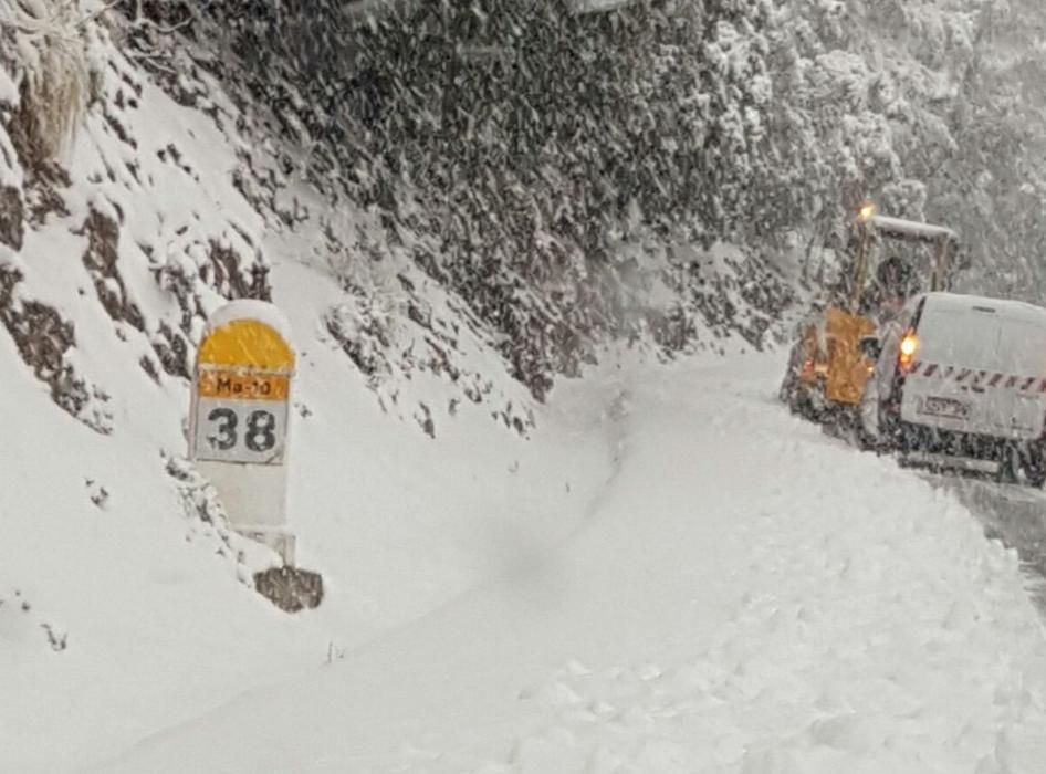 Eine neue Kaltfront hat Mallorca in der Nacht auf Mittwoch (8.2.) Schnee und Hagel beschert. Die Gegend um Son Servera im Inselosten war am frühen Morgen mit einer weißen Eisschicht bedeckt.