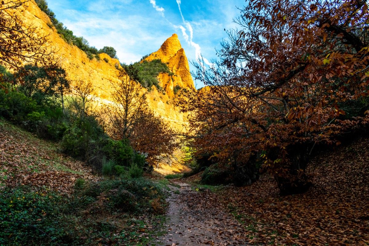 La vegetación de Las Médulas (León)