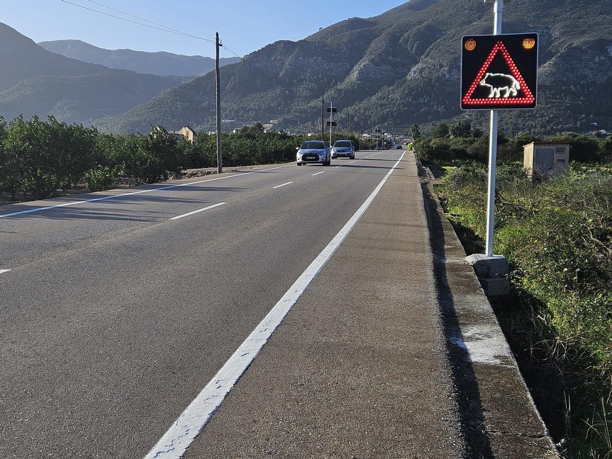 Sistema pionero que detecta jabalíes en Simat.