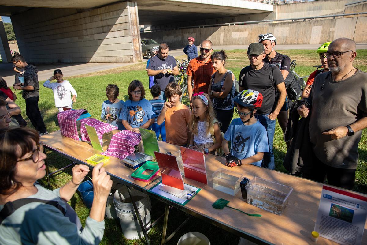 La fiesta de Va de Besòs, en el Parc del Litoral del Besòs