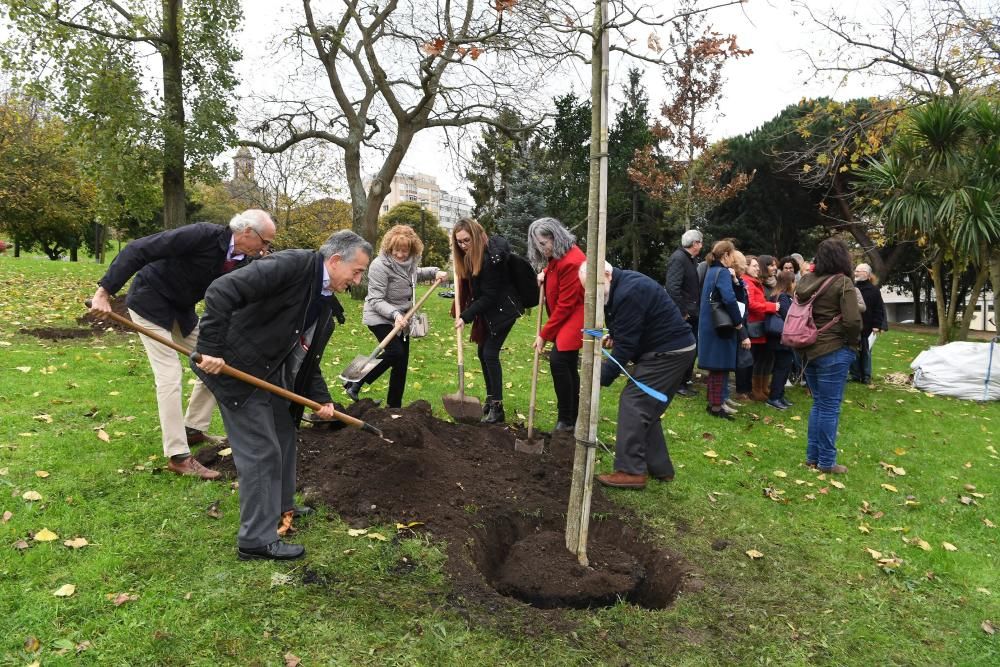 Las entidades que conforman la Plataforma Coruñesa de Voluntariado constan con un árbol que recuerda su labor a favor de la inclusión que realizan.