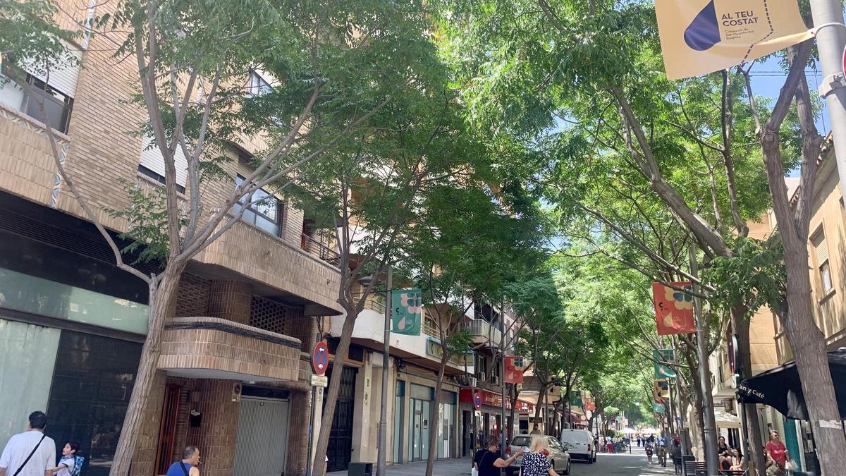Una calle comercial en San Vicente