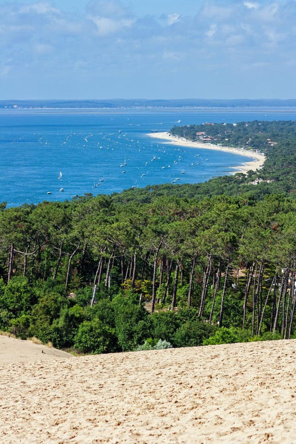Cap Ferret