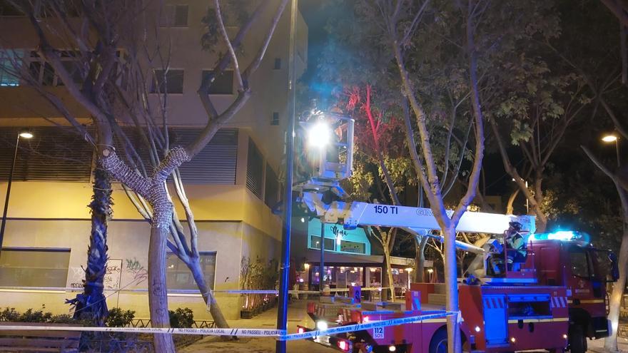 Cae un árbol en mitad de una calle del centro de Ibiza