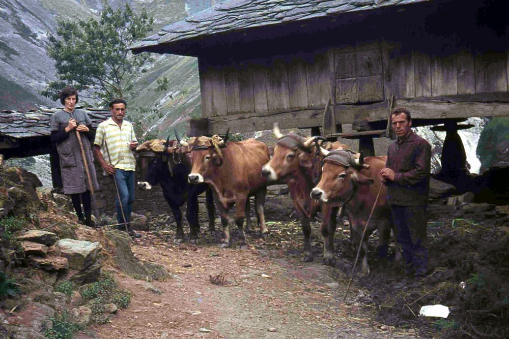 El Muséu del Pueblu d'Asturies publica el legado fotográfico de Julio Fernández Lamuño