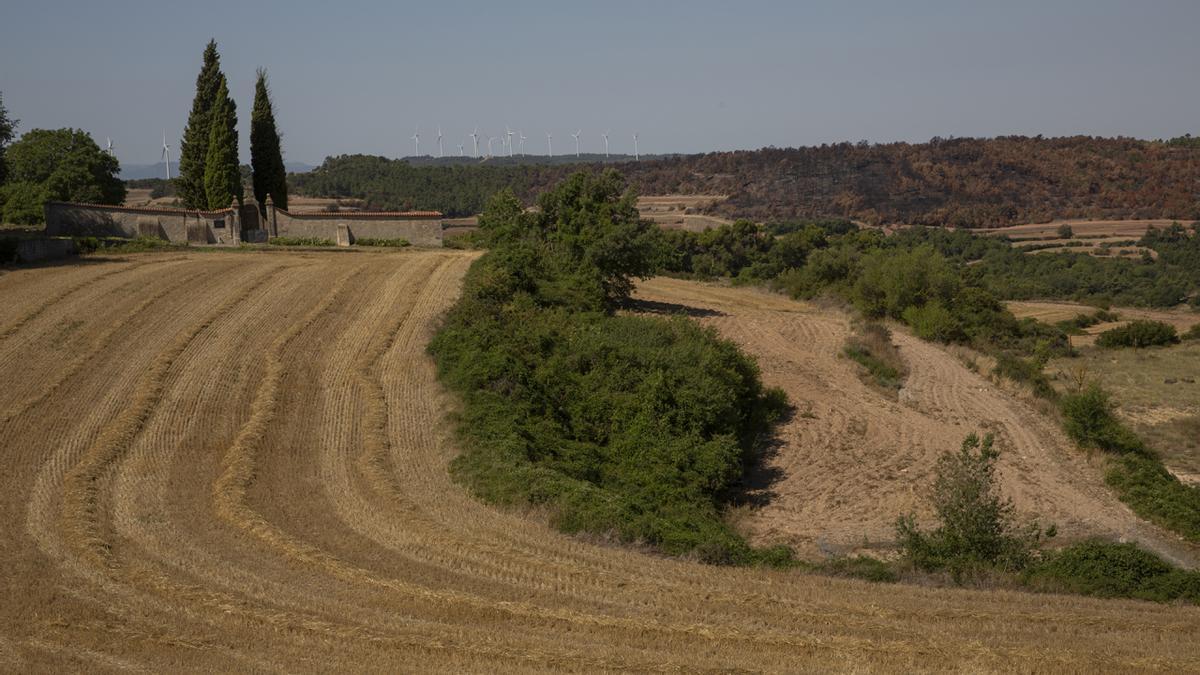 La sequía asfixia la Catalunya rural