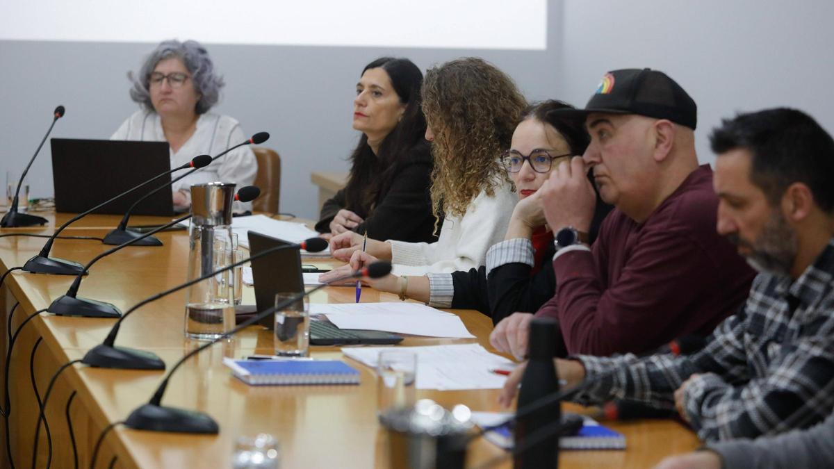 Los concejales de IU durante un Pleno municipal en Castrillón.