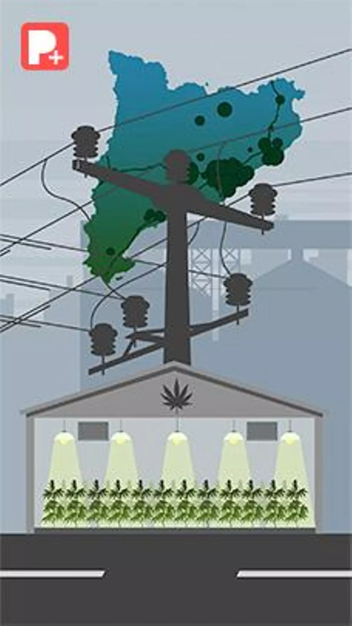 El fraude eléctrico destapa las plantaciones que la mafia de la marihuana oculta en naves industriales de Catalunya