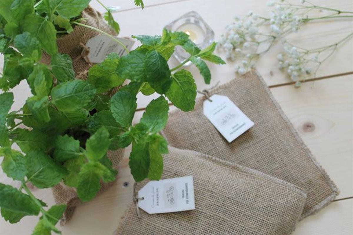 Regalos de boda eco chic: Hasta en un iglú