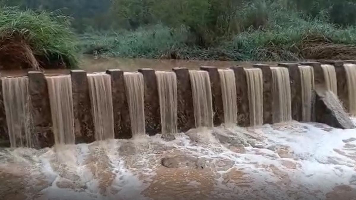 L'aigua baixa intensament a riera de Merola