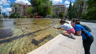 En Murcia solo hay una fuente pública de agua potable por cada 3000 habitantes