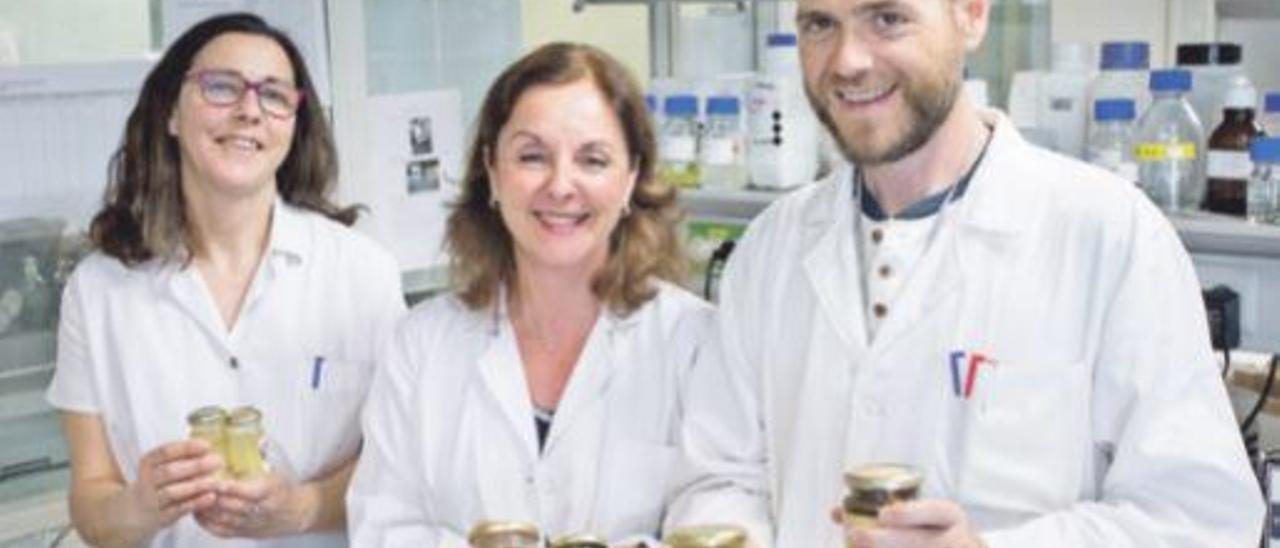 Marisol Juan, Isabel Escriche y Mario Visquert, investigadores de la Universitat Politècnica de València.