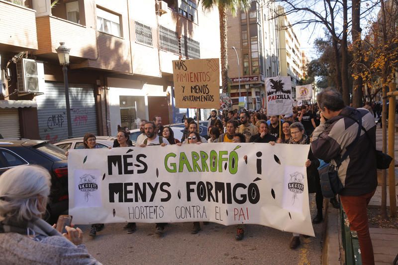 Manifestación contra el PAI de Benimaclet