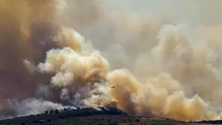 La Diputación destina 40.000 euros para recuperar superficie afectada por los incendios forestales en 2022