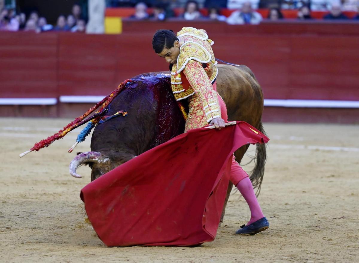 Un extraordinario natural de Paco Ureña en València