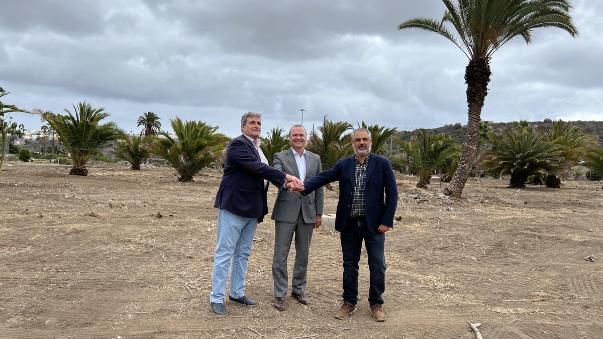 Javier Doreste, Augusto Hidalgo (c) y Sergio Armas tras la firma del protocolo entre el Ayuntamiento y Foresta