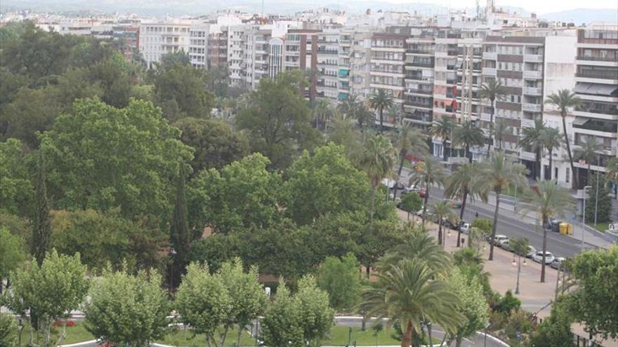 Vista de la arboleda del Paseo de la Victoria. 