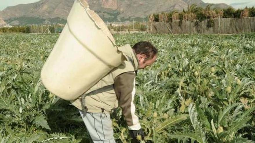 La Universidad pide a Europa que avale la protección de la huerta histórica de la Vega