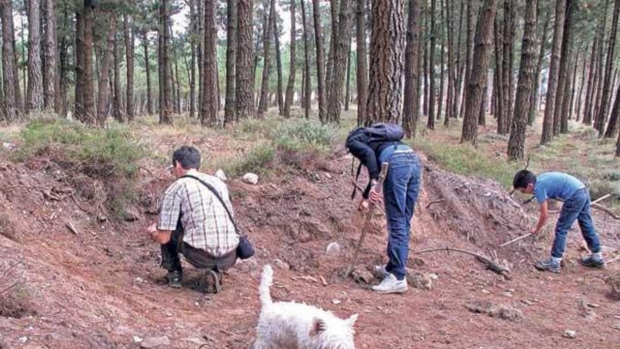 El arqueólogo Gustavo Pascual Hermida y su familia observan el lugar de la mámoa destruida.  // Marta G. Brea