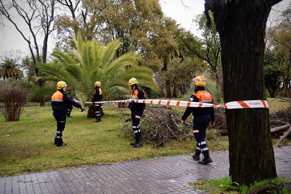 Bomberos del Ayuntamiento trabajan en los daños provocados por la borrasca Kristin.