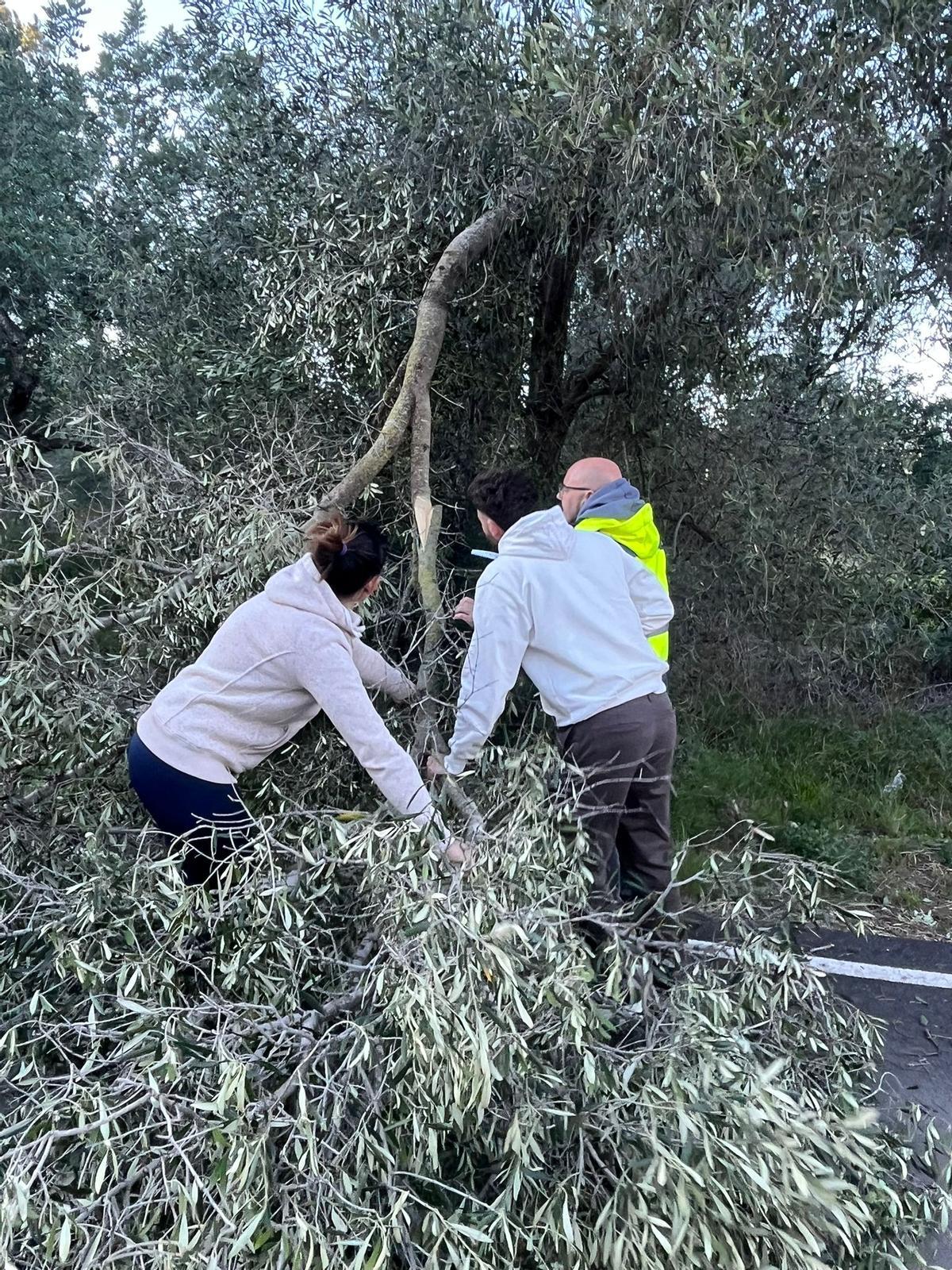Vecinos retirando ramas en un camino agrario.