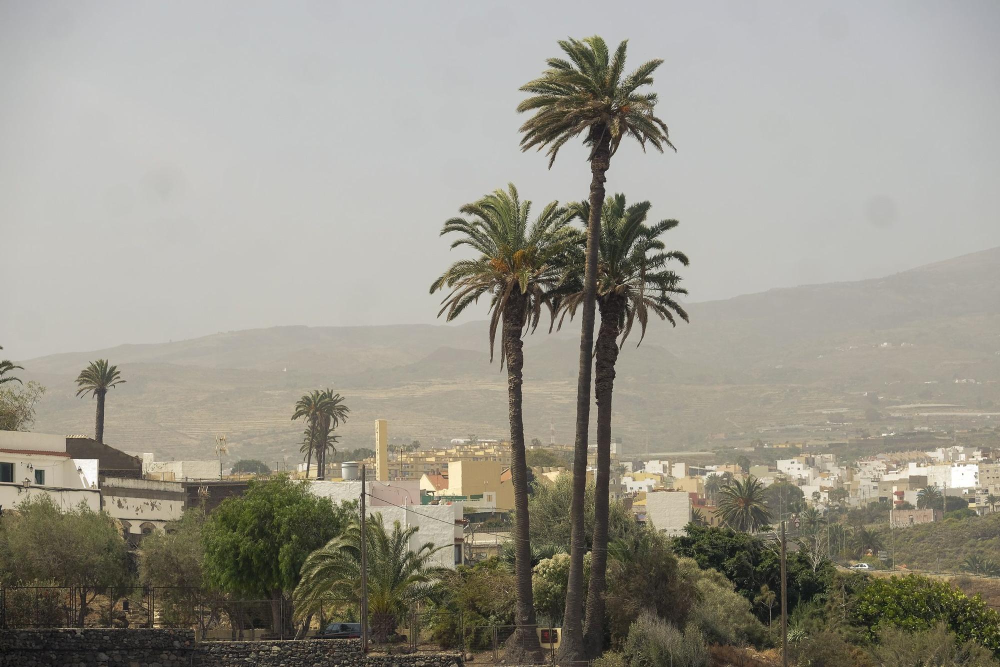 Tiempo en Gran Canaria (11/04/23)