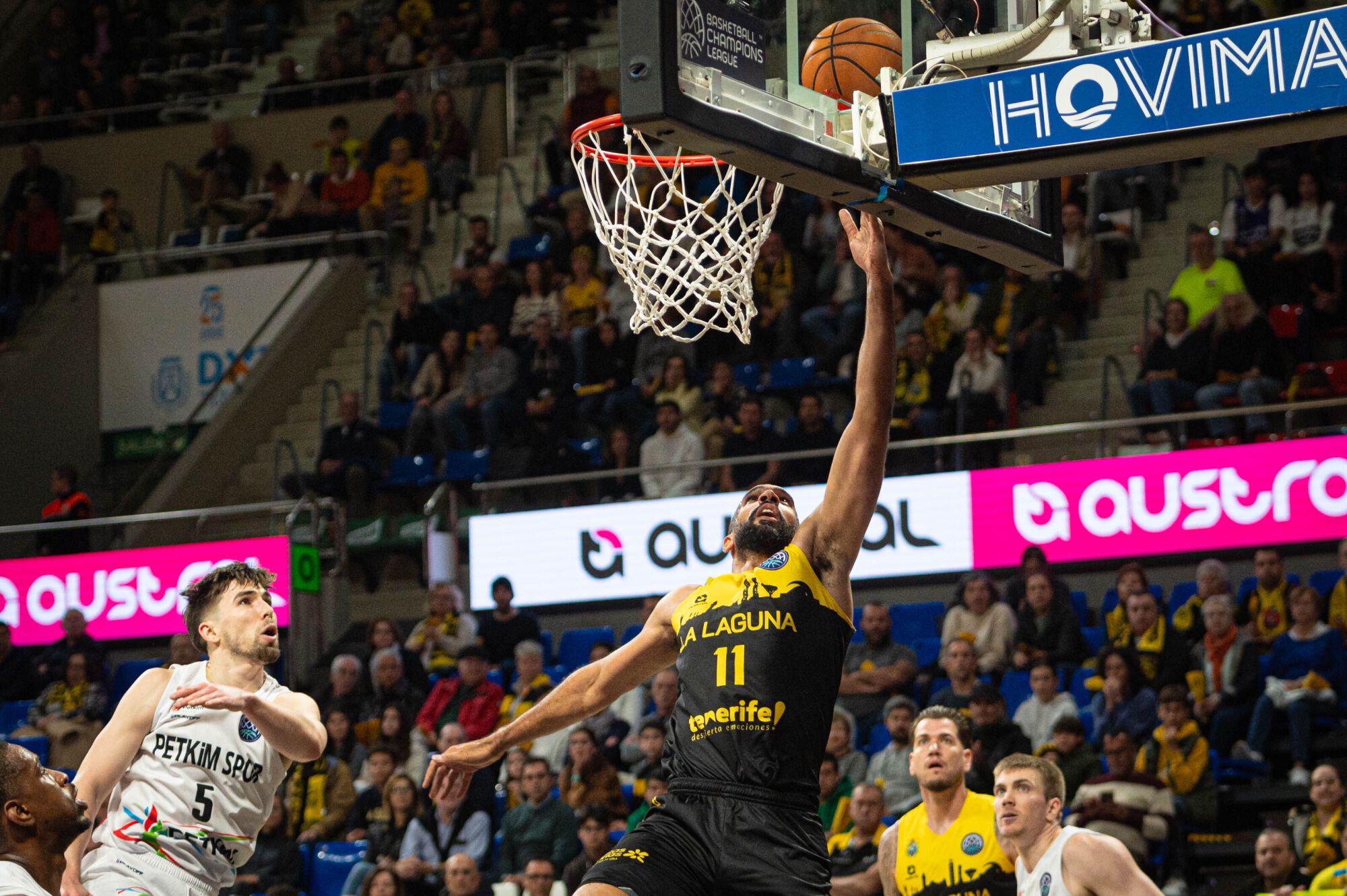 Basketball Champions League: La Laguna Tenerife - Aliaga Petkim Sport 