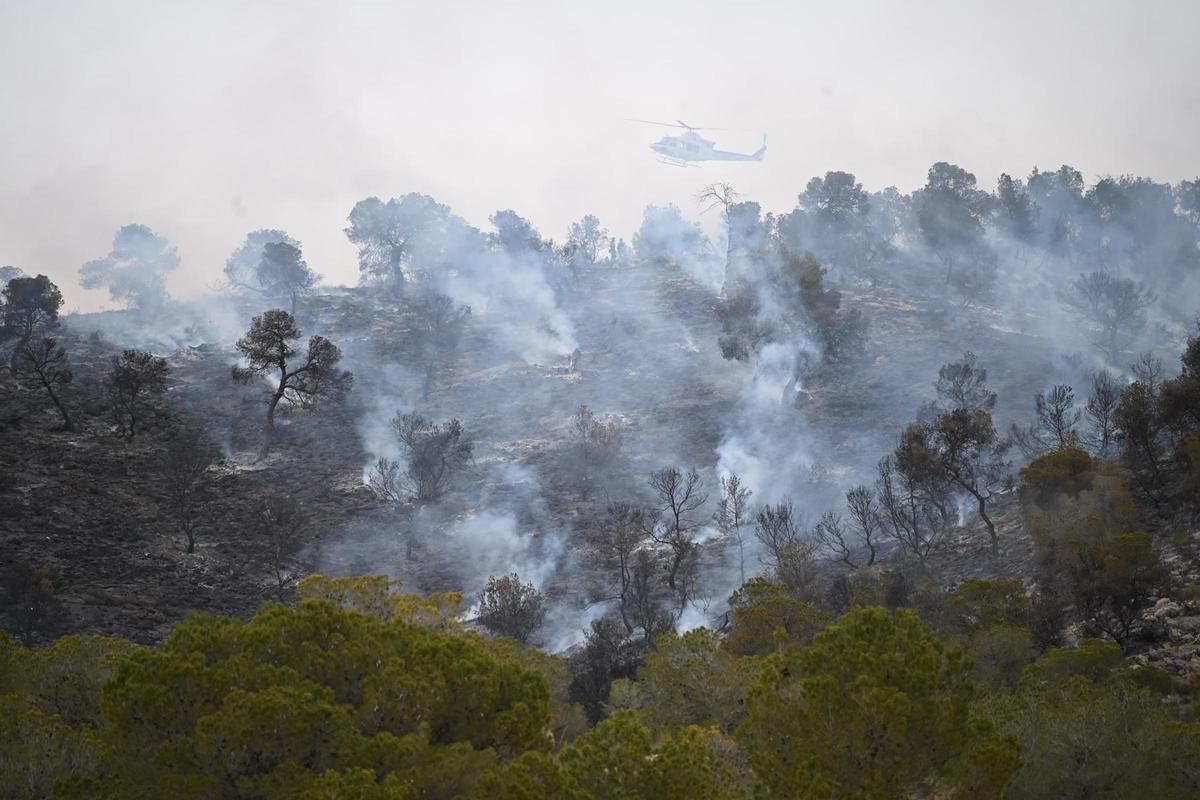 Fuego en Algueña: así está siendo el operativo para la extinción