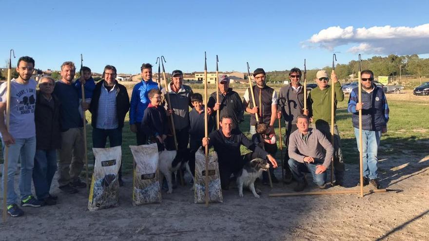 Ocho pastores exhiben las habilidades de sus perros en el II Concurs de Cans Pastor