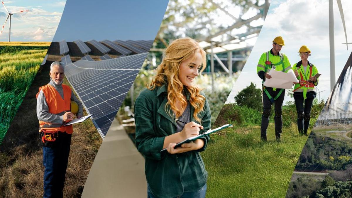 Fundación Endesa por el empleo verde