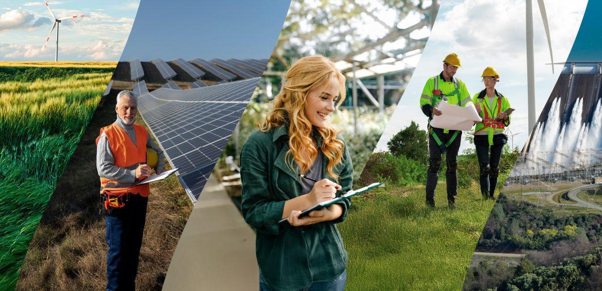 El empleo verde se consolida en España.