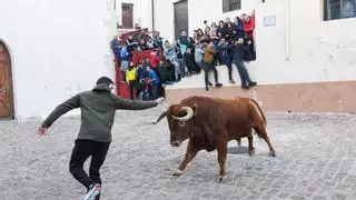 La temporada taurina arranca con fuerza en Castellón: todos los pueblos que harán festejos en enero