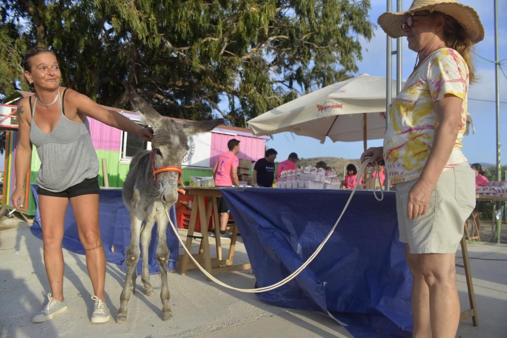 Carrera del Burro en Perín, Cartagena