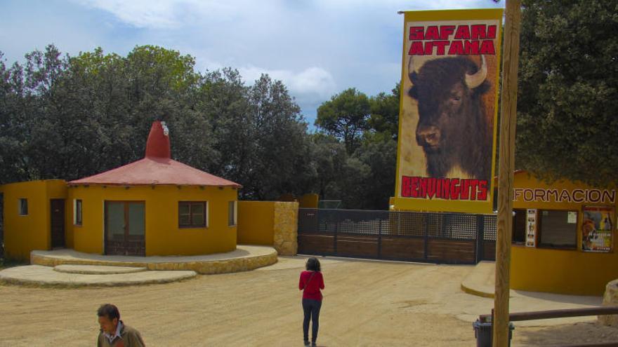 Cartel del búfalo, el martes en el safari alicantino.