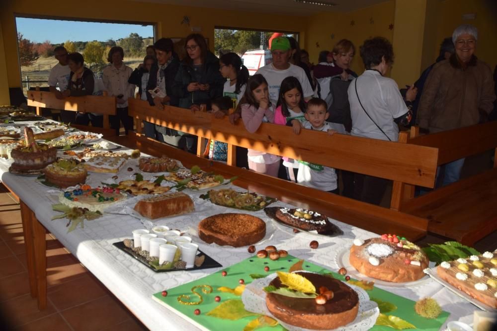 XIX Fiesta de la Castaña de Sejas de Aliste