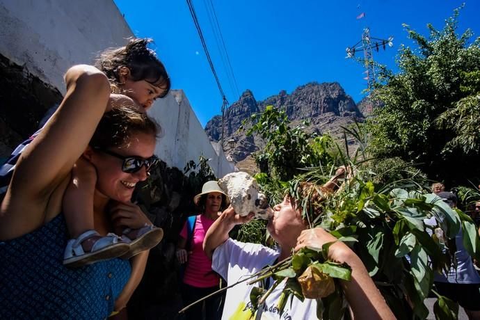 28.06.18. AGAETE.  BAJADA DE LA RAMA, EL VALLE ...