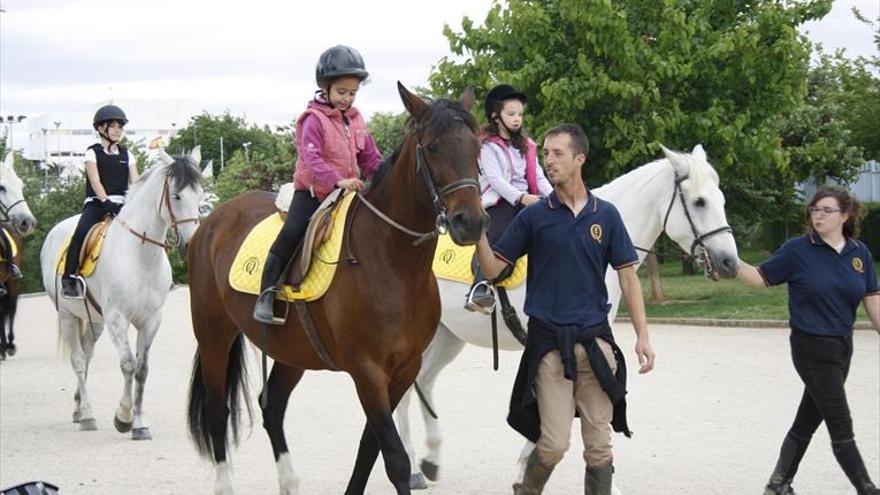 Destinan 103.215 € a ayudas para las escuelas deportivas