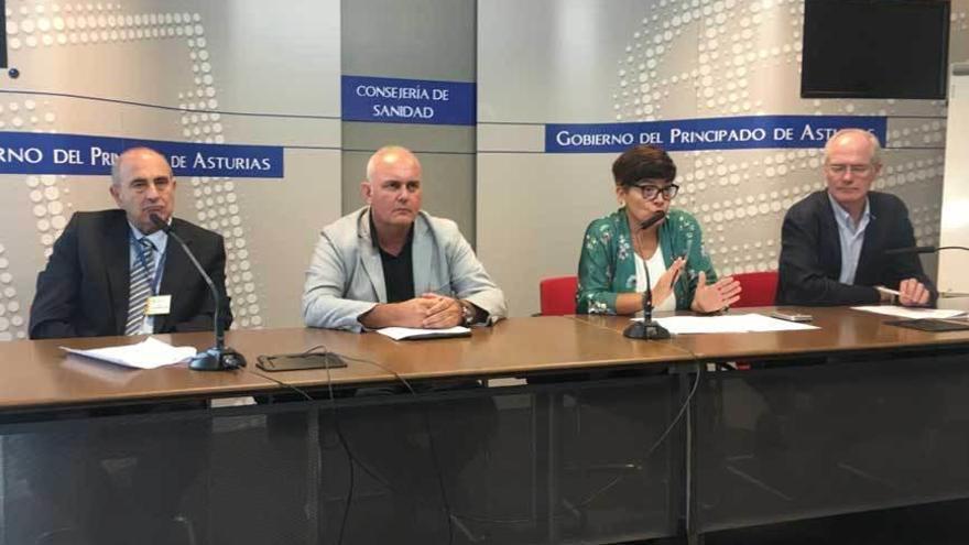 La presentación de los resultados del proyecto, ayer, en Oviedo.