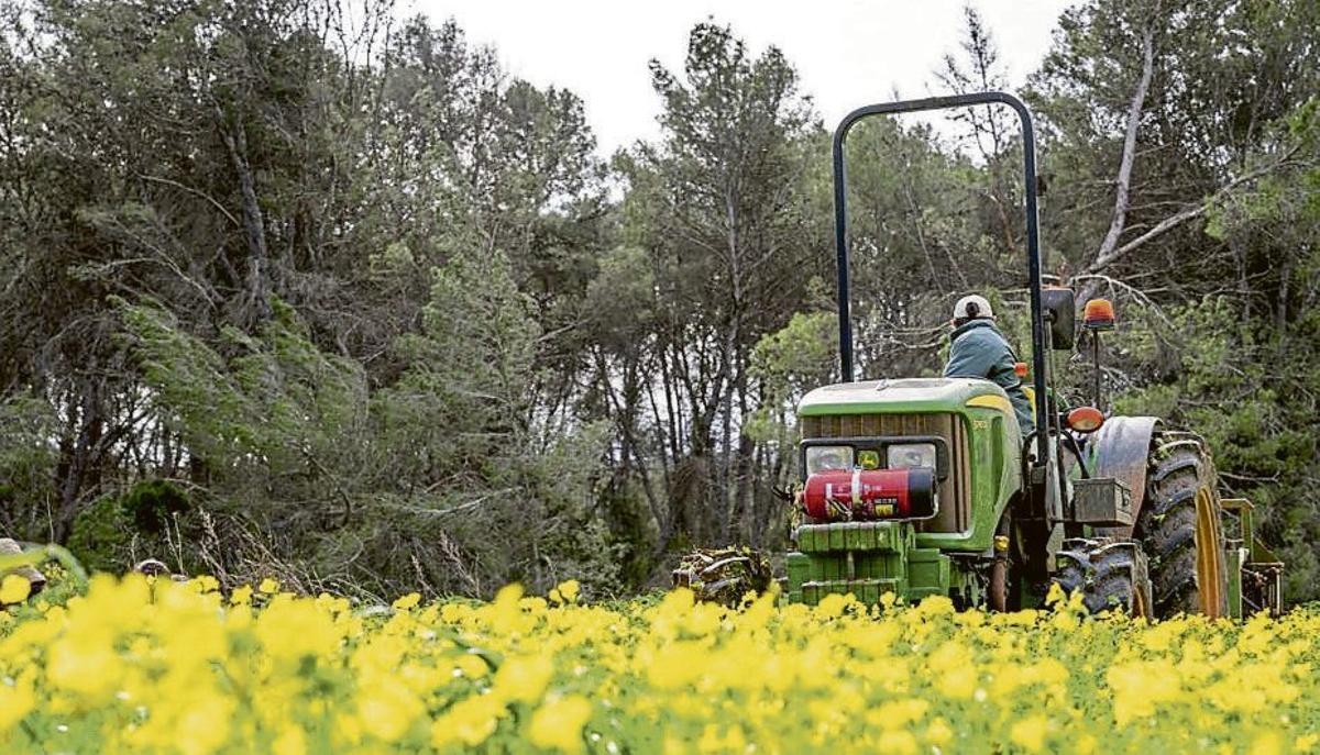 Fresh products form part of the identity of Ibiza’s cuisine.