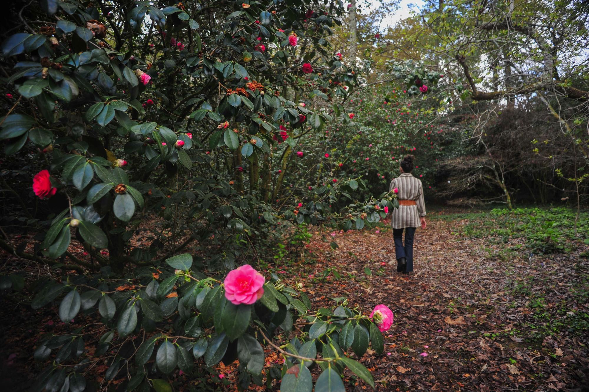 Un paseo por los jardines de Pazo de La Saleta.