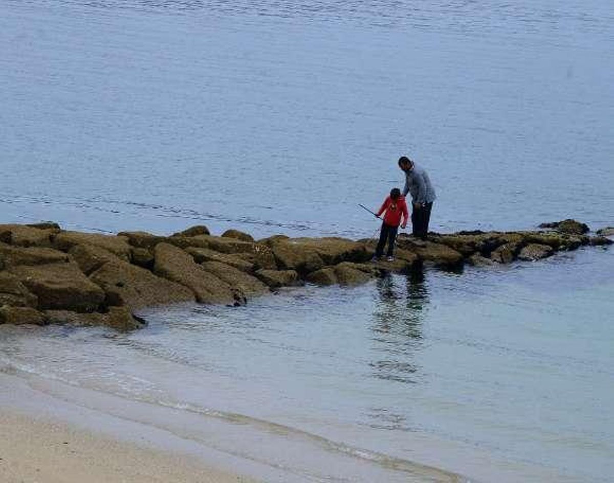 Portos afrontará una reparación de urgencia en la empalizada de la playa de Pescadoira