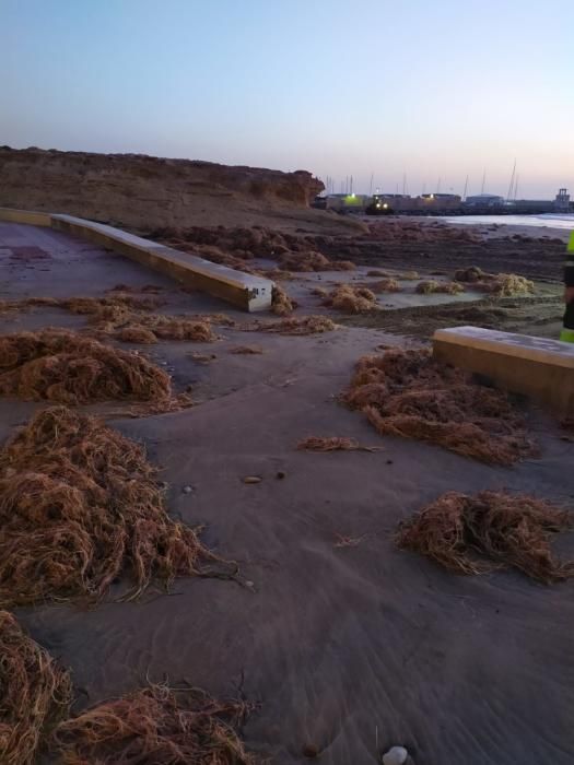 Daños por el temporal en El Campello