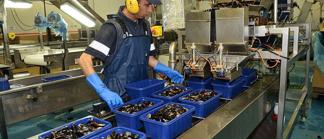 Un operario clasifica mejillones antes de su manufactura en una imagen de archivo.