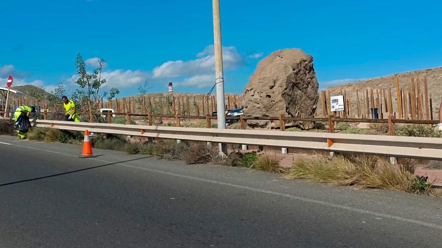 El Cabildo elimina plantas invasoras en el Sitio de Interés Científico de Jinámar