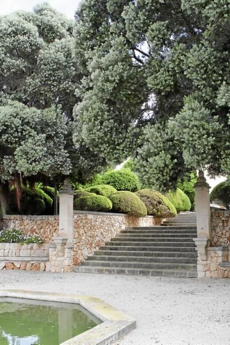 Der Garten von Gritli und Hans Liesenhoff zählt zu den beeindruckendsten Mallorcas. Er vereint Pfl anzenvielfalt und ornamentale Gestaltung mit Philosophie und Poesie.