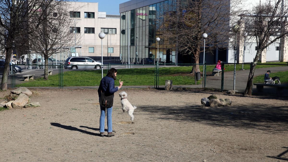 Una mujer juega con su perro en el recinto canino del parque Joaquín García Picher.